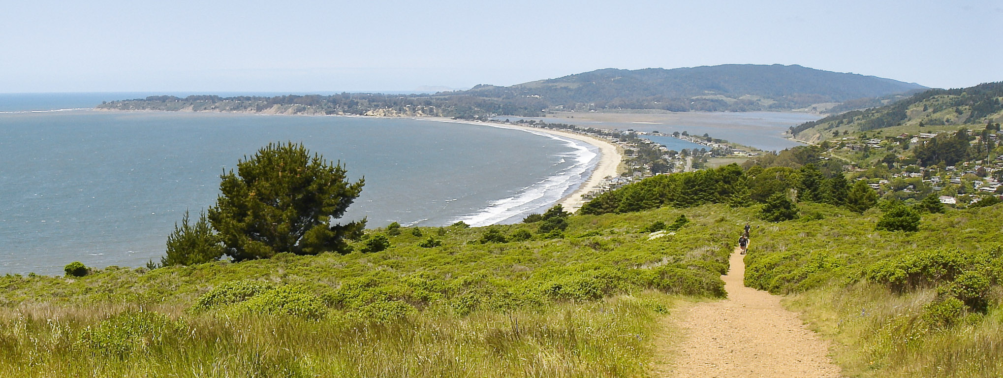 Stinson Beach and the Pacific coast viewed from Dipsea Trail